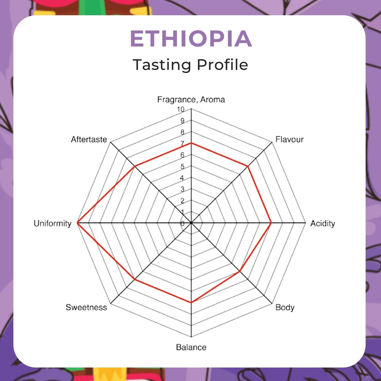 Drip Coffee Ethiopia